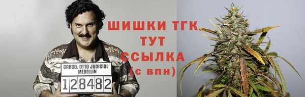 гидропоника Алзамай