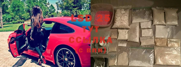 стаф Надым