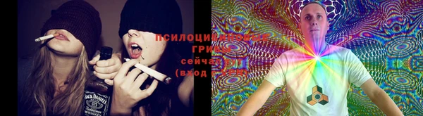 гидропоника Алзамай